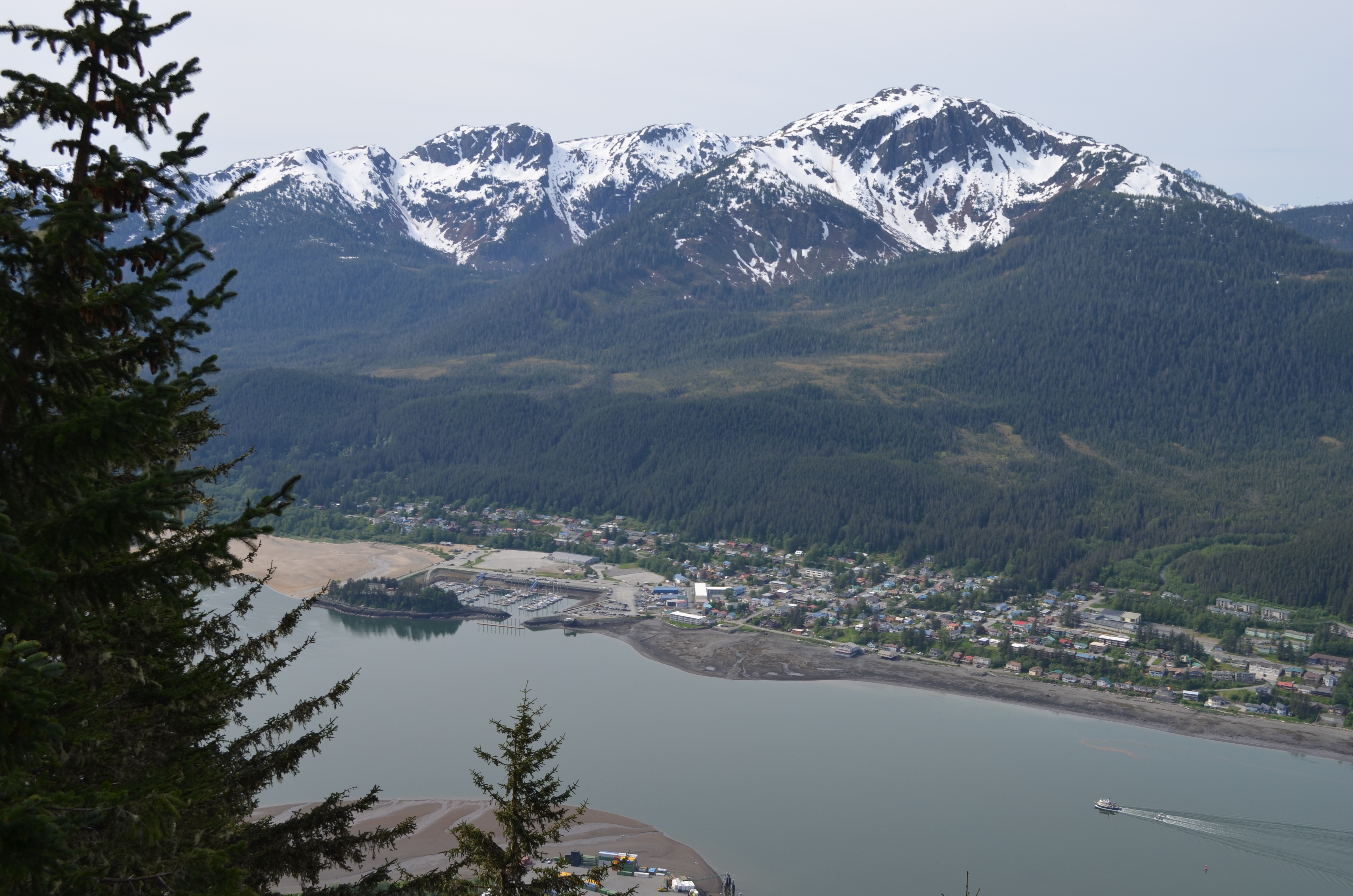 ./2017/08 - Alaska Cruise/08 - Juneau/DSC_0892.JPG